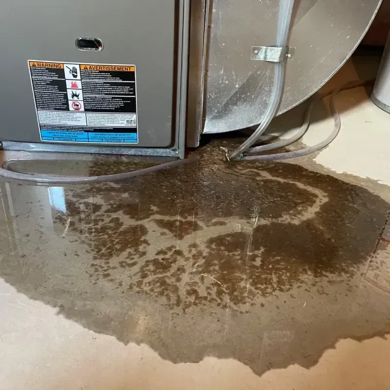 Appliance Leak Cleanup in Clay County, TN